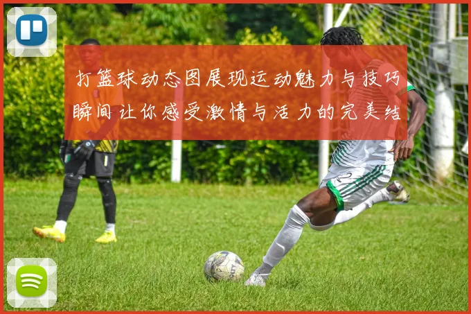 打篮球动态图展现运动魅力与技巧瞬间让你感受激情与活力的完美结合