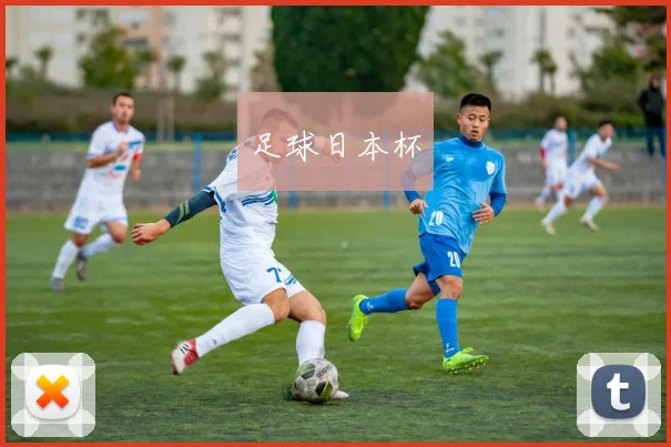 足球日本杯