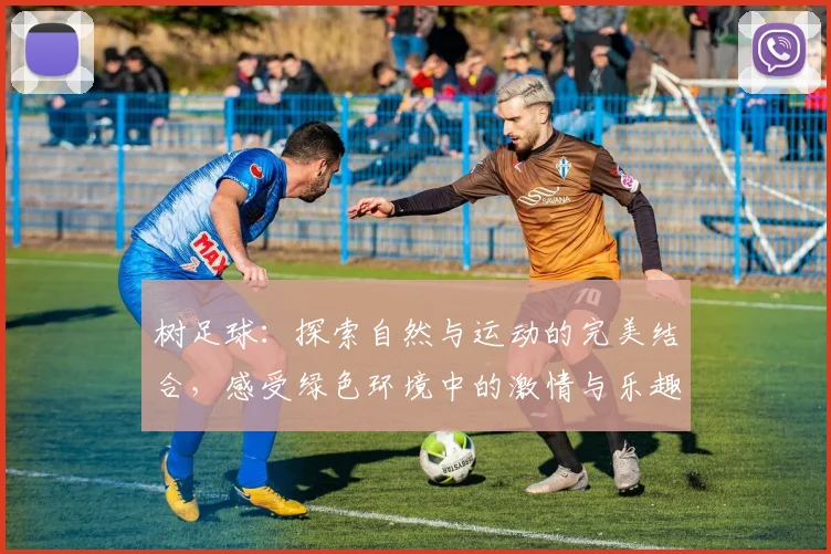 树足球：探索自然与运动的完美结合，感受绿色环境中的激情与乐趣