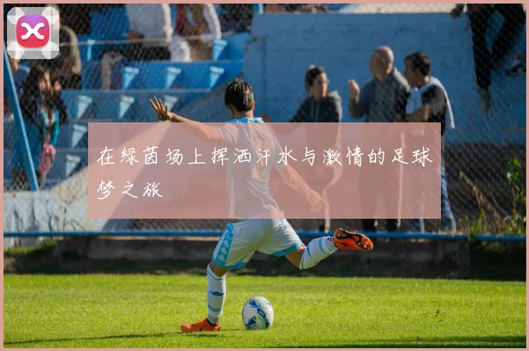 在绿茵场上挥洒汗水与激情的足球梦之旅