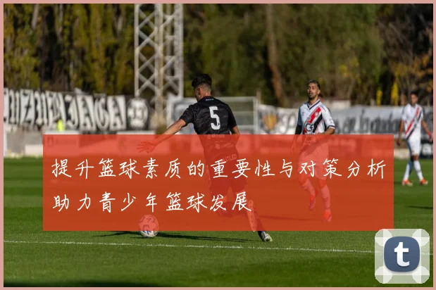 提升篮球素质的重要性与对策分析助力青少年篮球发展