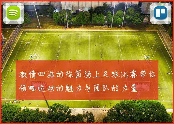 激情四溢的绿茵场上足球比赛带你领略运动的魅力与团队的力量