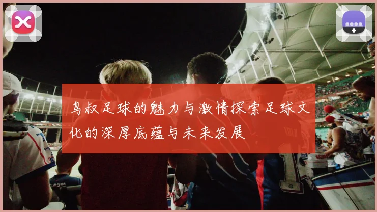 鸟叔足球的魅力与激情探索足球文化的深厚底蕴与未来发展