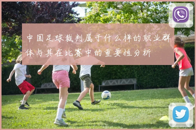 中国足球裁判属于什么样的职业群体与其在比赛中的重要性分析