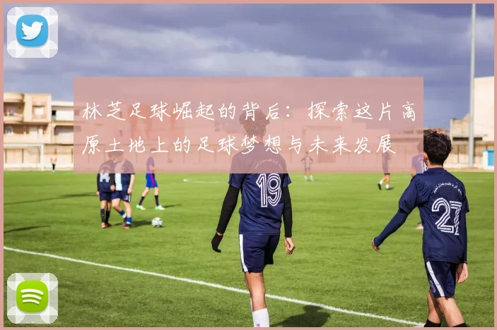 林芝足球崛起的背后：探索这片高原土地上的足球梦想与未来发展